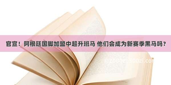 官宣！阿根廷国脚加盟中超升班马 他们会成为新赛季黑马吗？