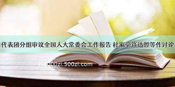 湖南代表团分组审议全国人大常委会工作报告 杜家毫许达哲等作讨论发言