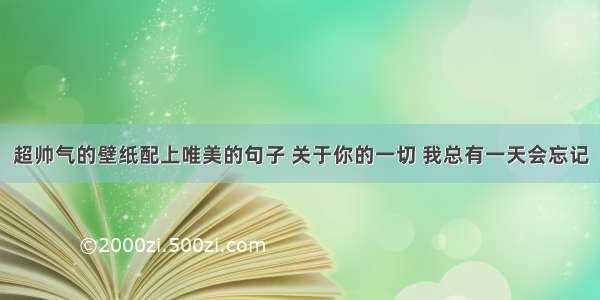 超帅气的壁纸配上唯美的句子 关于你的一切 我总有一天会忘记