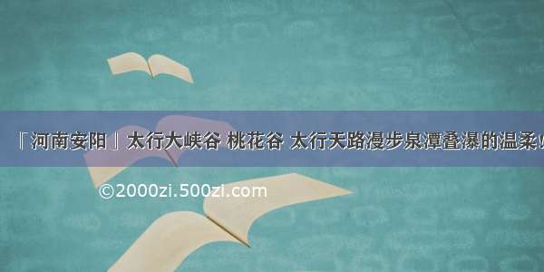 「河南安阳」太行大峡谷 桃花谷 太行天路漫步泉潭叠瀑的温柔！