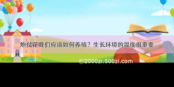 炮仗花我们应该如何养殖？生长环境的温度很重要