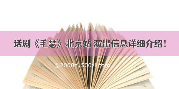 话剧《毛瑟》北京站 演出信息详细介绍！