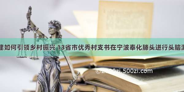 党建如何引领乡村振兴 13省市优秀村支书在宁波奉化滕头进行头脑激荡