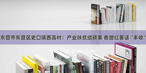 东营市东营区史口镇西高村：产业扶贫结硕果 香甜红薯话“丰收”