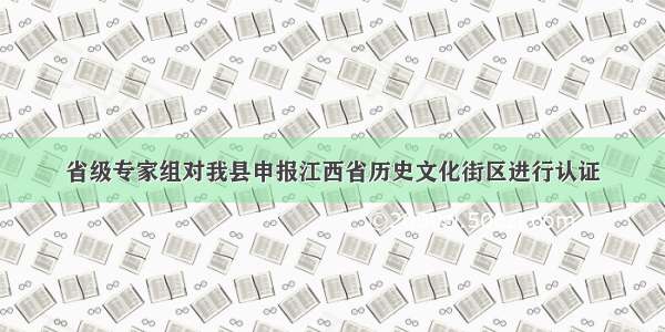 省级专家组对我县申报江西省历史文化街区进行认证