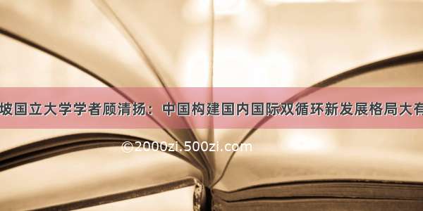 新加坡国立大学学者顾清扬：中国构建国内国际双循环新发展格局大有可为