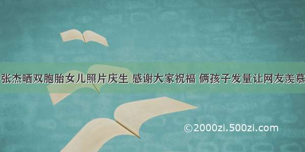 张杰晒双胞胎女儿照片庆生 感谢大家祝福 俩孩子发量让网友羡慕