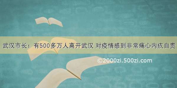 武汉市长：有500多万人离开武汉 对疫情感到非常痛心内疚自责