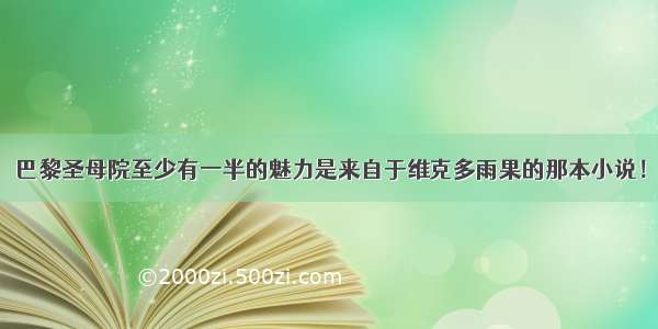 巴黎圣母院至少有一半的魅力是来自于维克多雨果的那本小说！