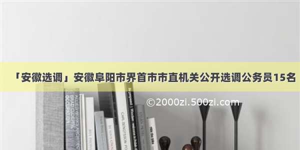 「安徽选调」安徽阜阳市界首市市直机关公开选调公务员15名