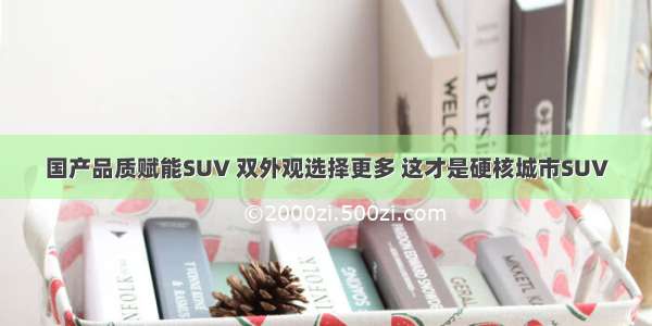 国产品质赋能SUV 双外观选择更多 这才是硬核城市SUV