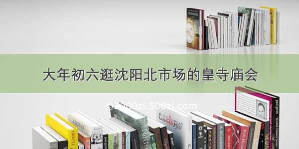 大年初六逛沈阳北市场的皇寺庙会