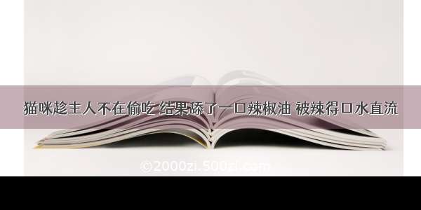 猫咪趁主人不在偷吃 结果舔了一口辣椒油 被辣得口水直流