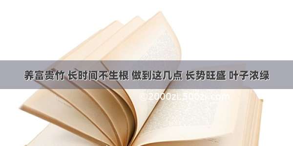 养富贵竹 长时间不生根 做到这几点 长势旺盛 叶子浓绿