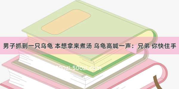 男子抓到一只乌龟 本想拿来煮汤 乌龟高喊一声：兄弟 你快住手