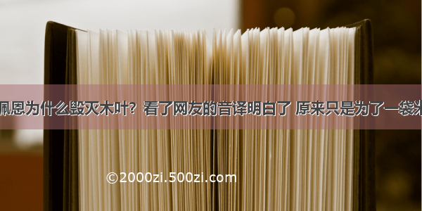 佩恩为什么毁灭木叶？看了网友的音译明白了 原来只是为了一袋米