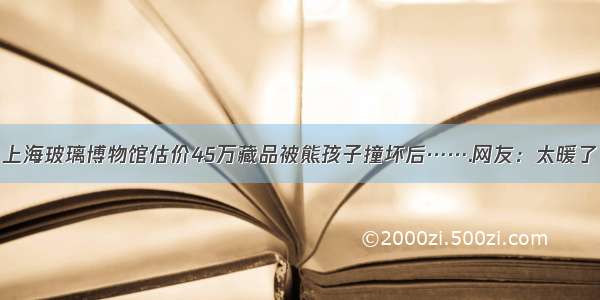 上海玻璃博物馆估价45万藏品被熊孩子撞坏后…….网友：太暖了