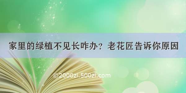 家里的绿植不见长咋办？老花匠告诉你原因