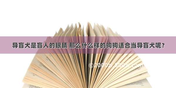 导盲犬是盲人的眼睛 那么什么样的狗狗适合当导盲犬呢？