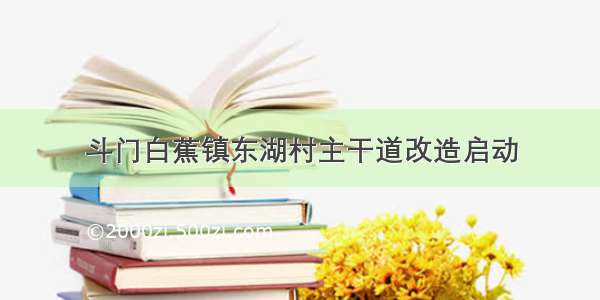 斗门白蕉镇东湖村主干道改造启动