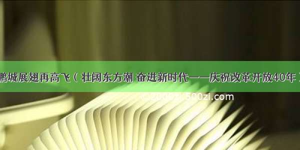 鹏城展翅再高飞（壮阔东方潮 奋进新时代——庆祝改革开放40年）