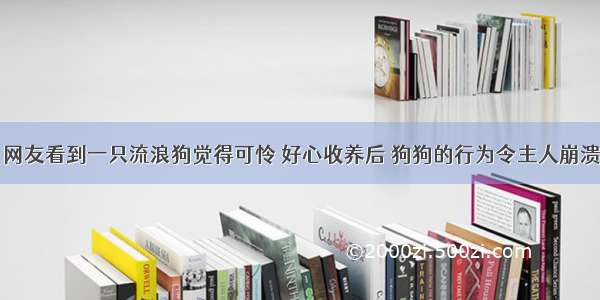 网友看到一只流浪狗觉得可怜 好心收养后 狗狗的行为令主人崩溃