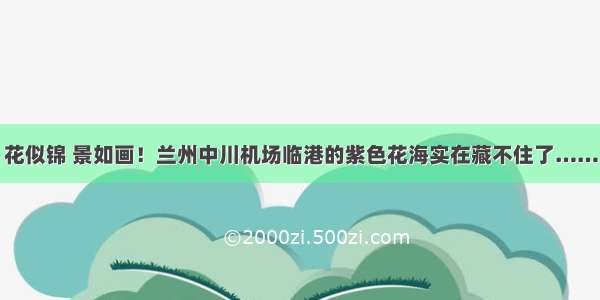 花似锦 景如画！兰州中川机场临港的紫色花海实在藏不住了……