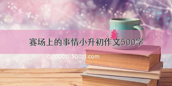 赛场上的事情小升初作文500字