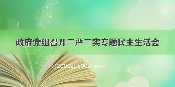 政府党组召开三严三实专题民主生活会