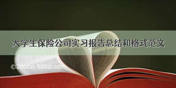 大学生保险公司实习报告总结和格式范文