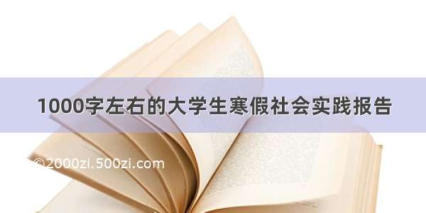 1000字左右的大学生寒假社会实践报告