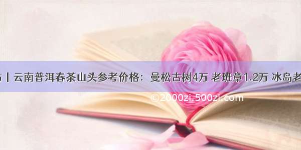 最新发布丨云南普洱春茶山头参考价格：曼松古树4万 老班章1.2万 冰岛老寨3.6万