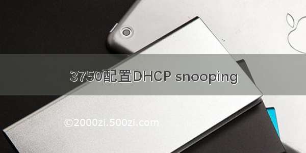 3750配置DHCP snooping