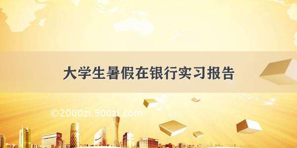 大学生暑假在银行实习报告