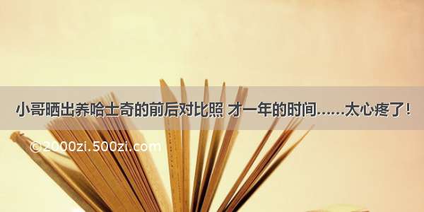 小哥晒出养哈士奇的前后对比照 才一年的时间……太心疼了！