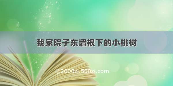 我家院子东墙根下的小桃树