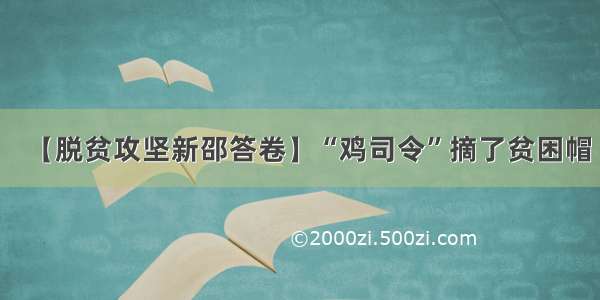 【脱贫攻坚新邵答卷】“鸡司令”摘了贫困帽