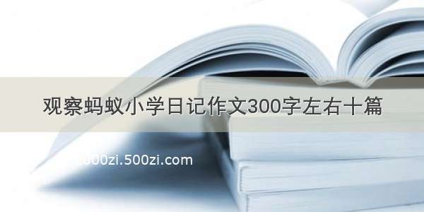 观察蚂蚁小学日记作文300字左右十篇