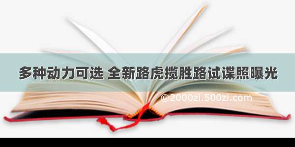 多种动力可选 全新路虎揽胜路试谍照曝光