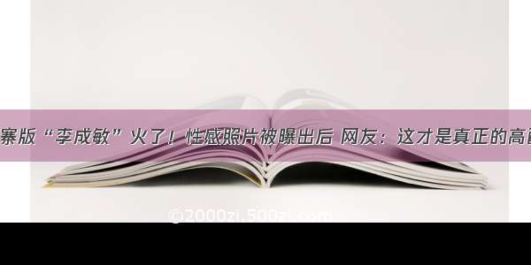 山寨版“李成敏”火了！性感照片被曝出后 网友：这才是真正的高配！