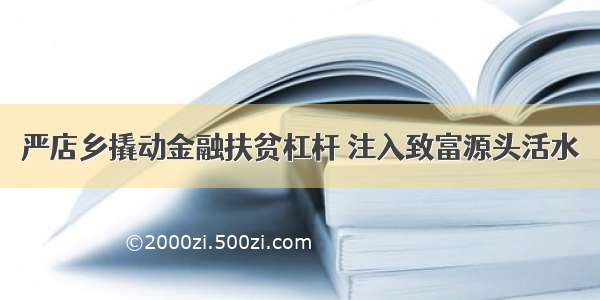 严店乡撬动金融扶贫杠杆 注入致富源头活水