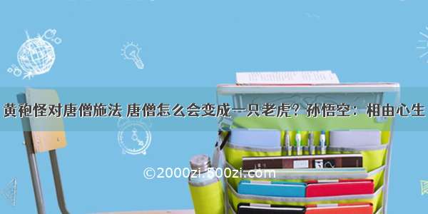 黄袍怪对唐僧施法 唐僧怎么会变成一只老虎？孙悟空：相由心生