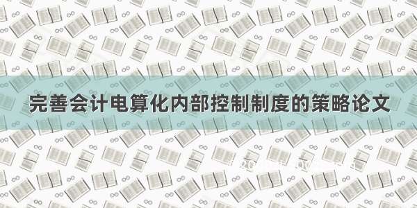 完善会计电算化内部控制制度的策略论文