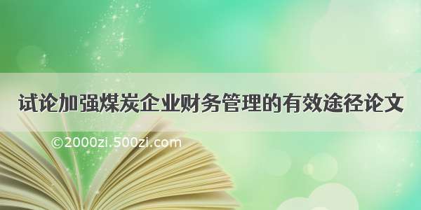 试论加强煤炭企业财务管理的有效途径论文