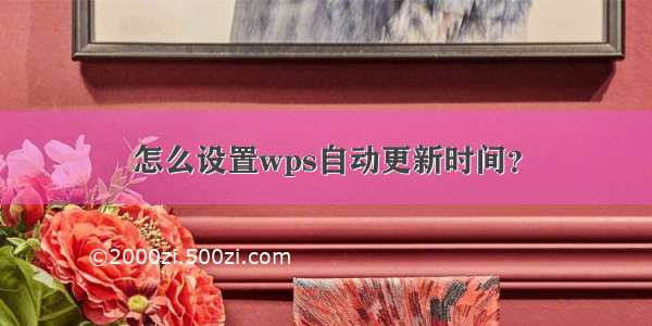 怎么设置wps自动更新时间？