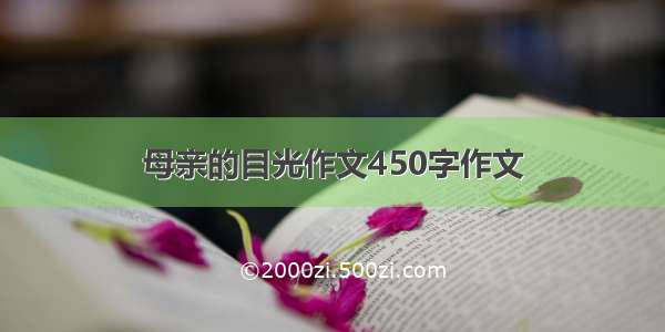 母亲的目光作文450字作文