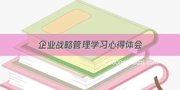 企业战略管理学习心得体会