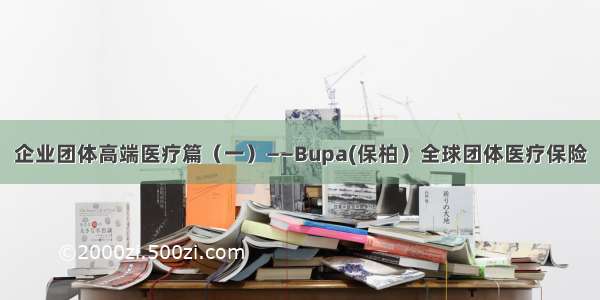 企业团体高端医疗篇（一）——Bupa(保柏）全球团体医疗保险