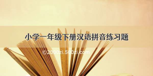 小学一年级下册汉语拼音练习题