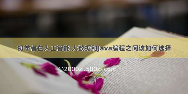 初学者在人工智能 大数据和Java编程之间该如何选择